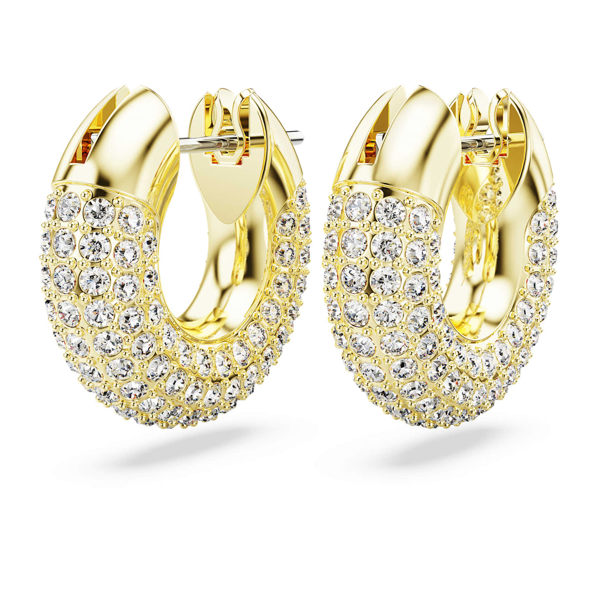 Dextera hoop earrings